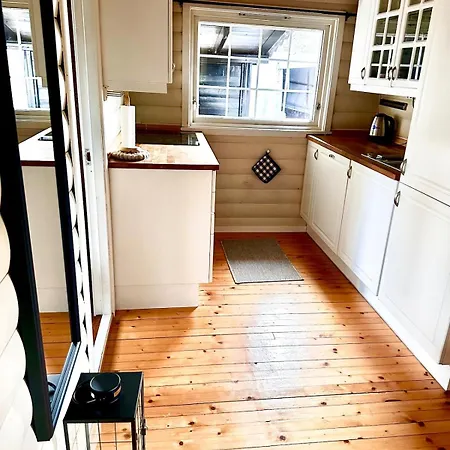 Koselig Familiehytte Med Peis Og Utsikt Naer Skiloyper Og Turterreng Nyaraló Aseral