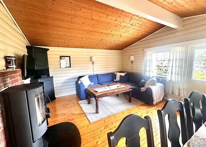 Tatil Evi Koselig Familiehytte Med Peis Og Utsikt Naer Skiloyper Og Turterreng Aseral